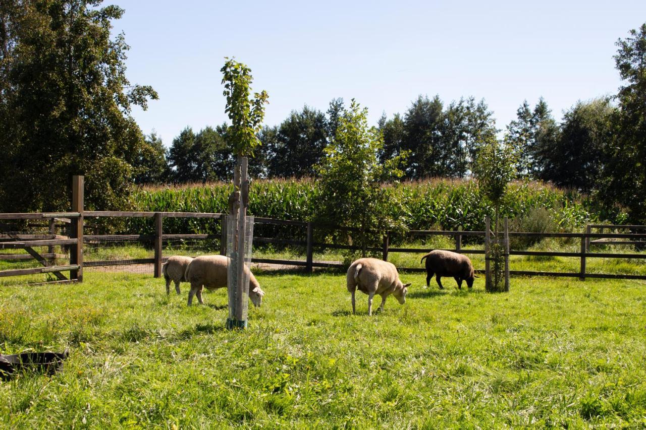Vila Geldersche Tuin 6 Persoons Emst Exteriér fotografie